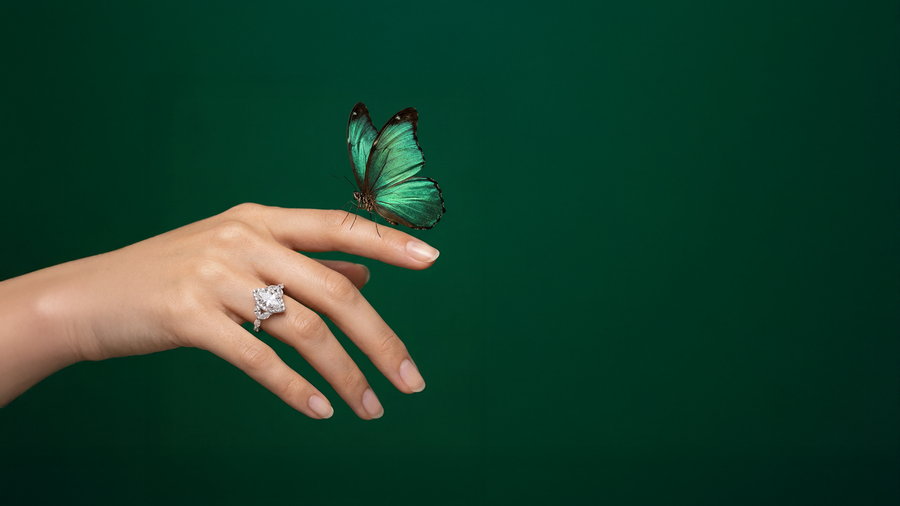 Elegance that Speaks <br> Without Words